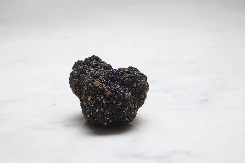Black Truffles (Tuber Aestivum, Melanosporum)
