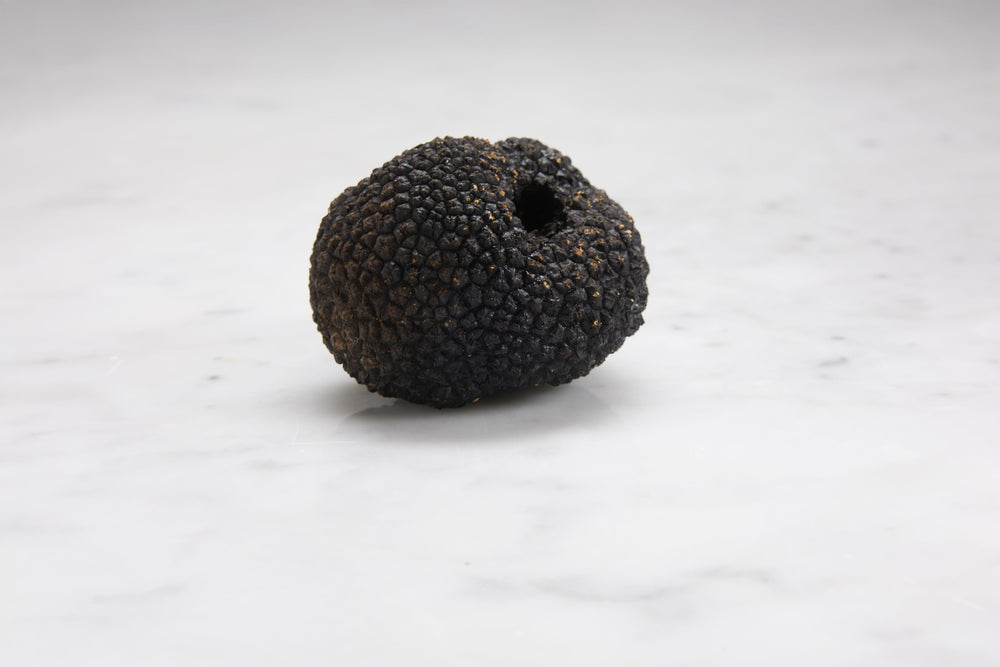 Black Truffles (Tuber Aestivum, Melanosporum)