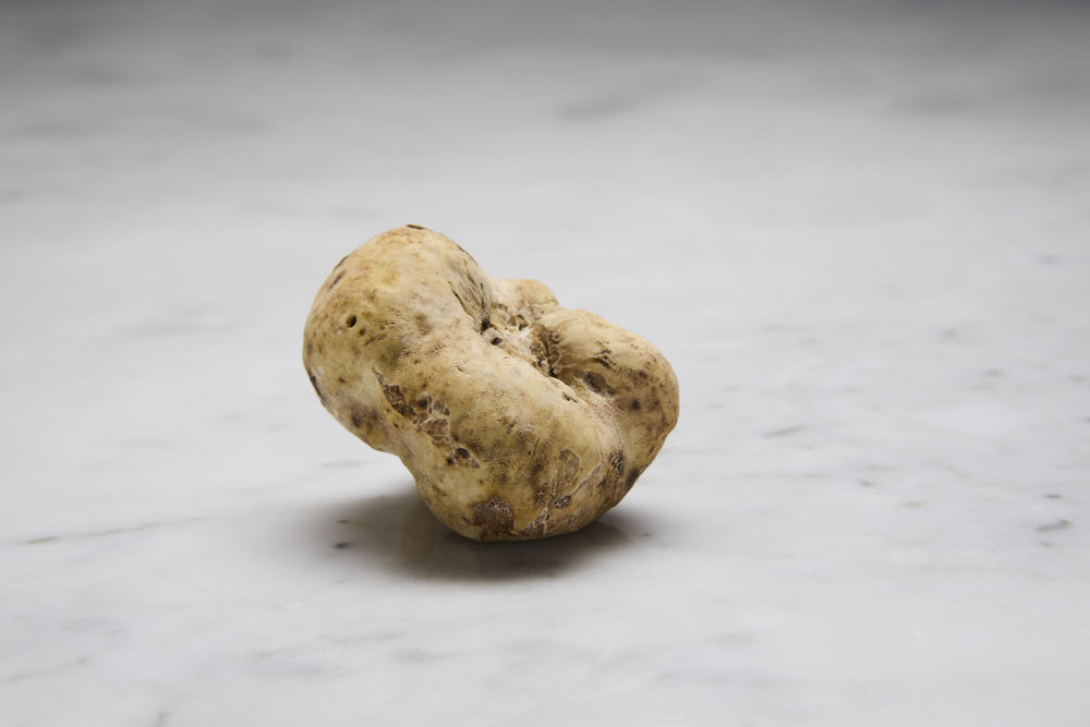 White Truffles (Magnatum, Diamond of Alba)