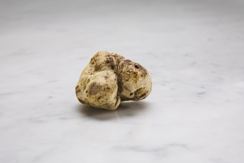 White Truffles (Magnatum, Diamond of Alba)