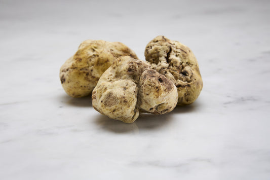 White Truffles (Magnatum, Diamond of Alba)