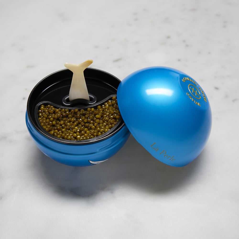 La Perle Beluga (Blue)