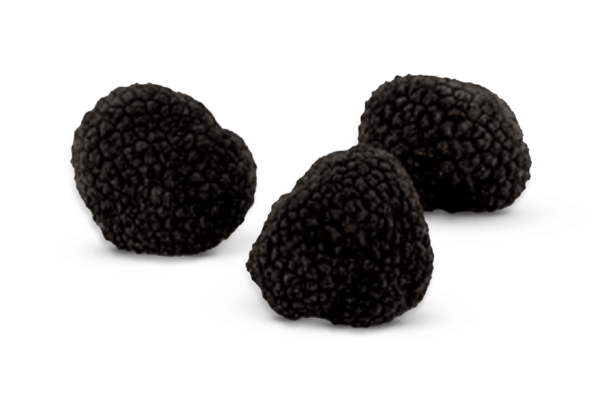 Black Ucinatum Truffles