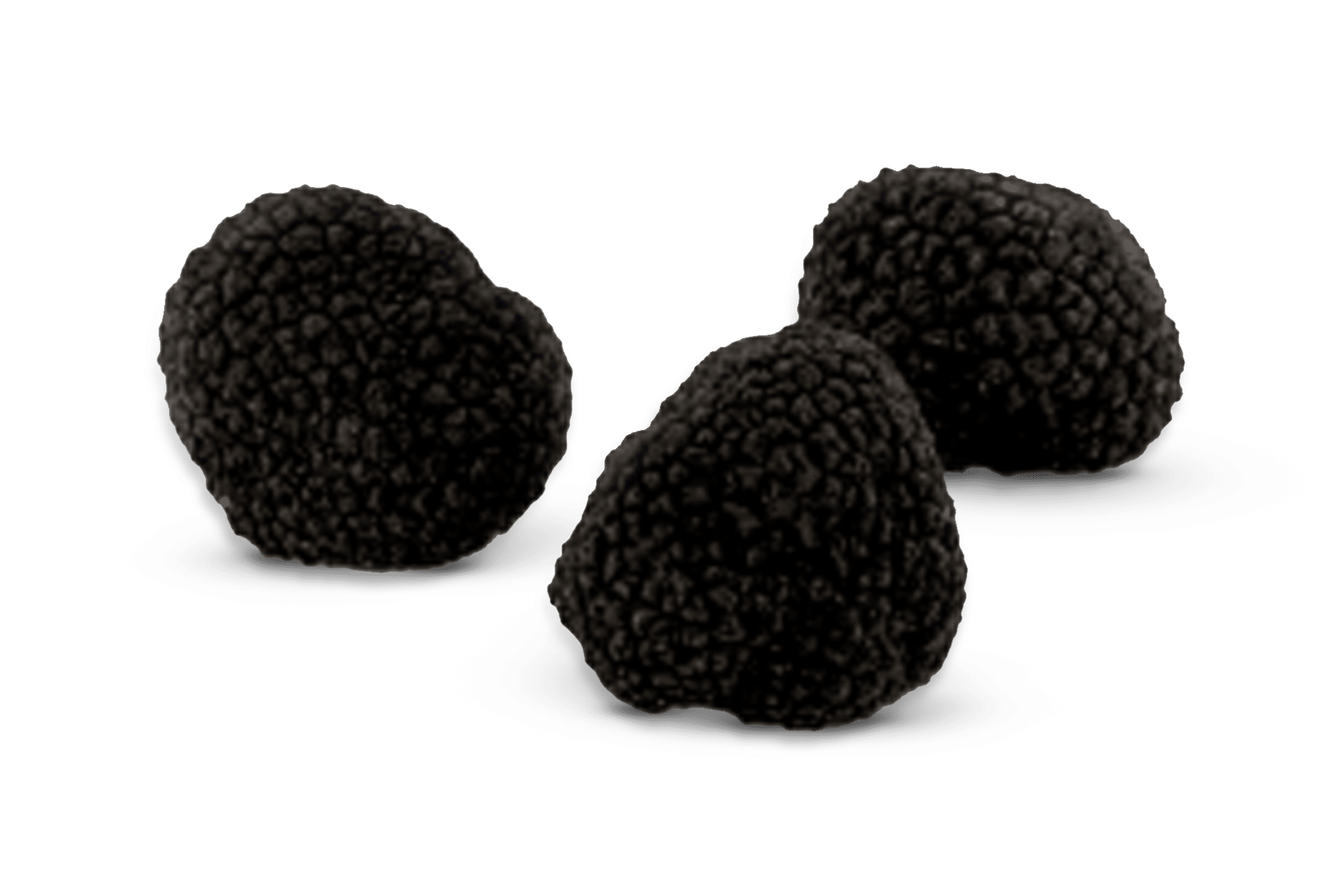 Black Ucinatum Truffles